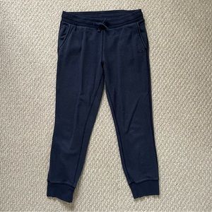 Roots Navy Blue Jogger Logo Sweatpants